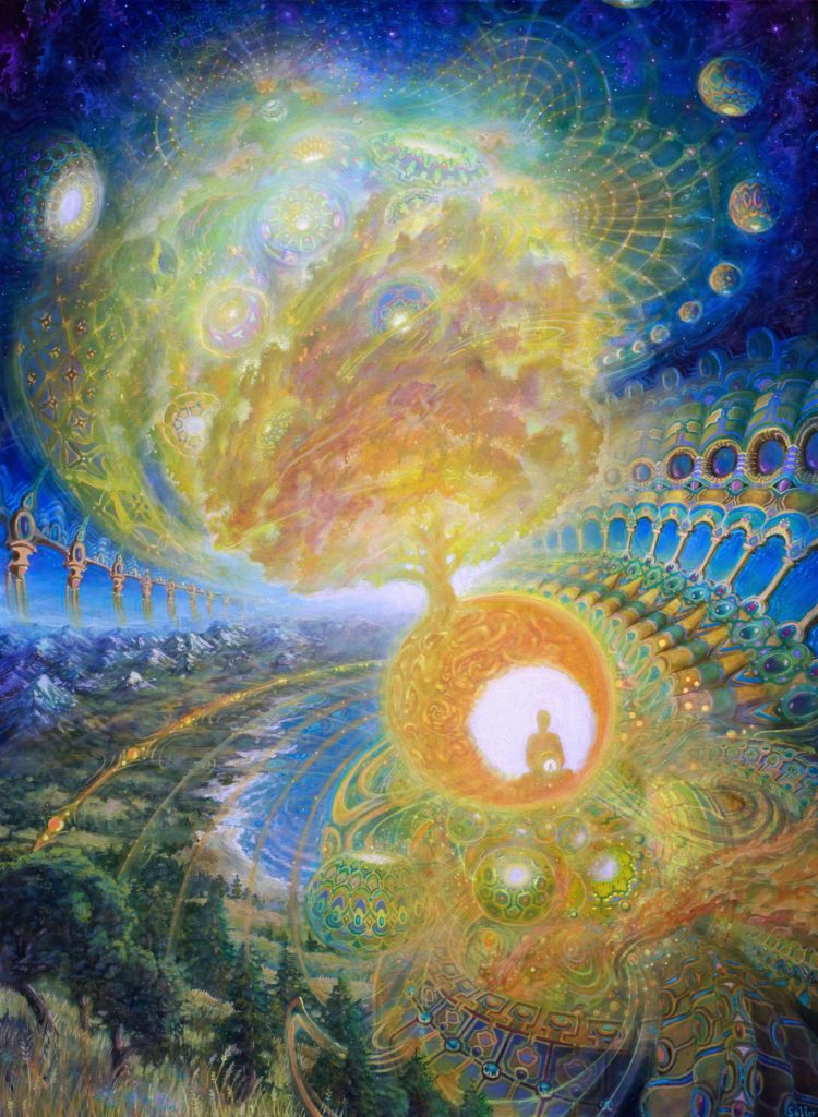 Zoomies finest shrooms The Biochemistry of Microdosing