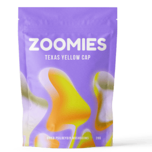 Texas Yellow Cap | Buy Mushrooms Online Canada