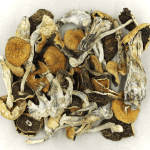 Full Moon Party | Buy Mushrooms Online Canada