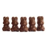 Alice - Mushroom Milk Chocolate - 2.5g | Buy Mushrooms Online Canada