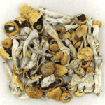 Orissa | Buy Mushrooms Online Canada