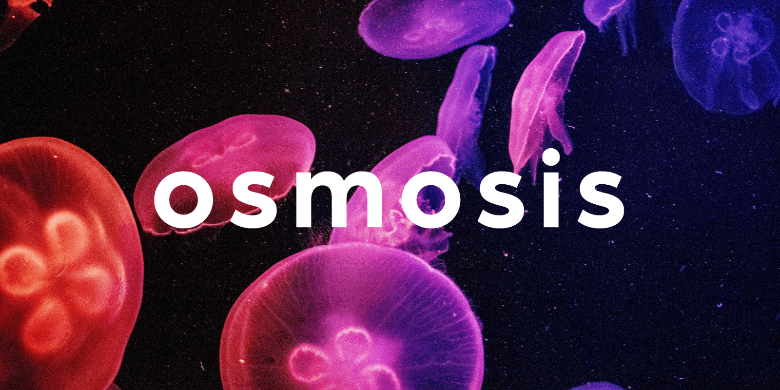 Zoomies osmosis banner | Buy Mushrooms Online Canada
