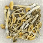 Trinity | Buy Mushrooms Online Canada
