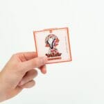 Wonder – Psilocybin Chocolate Bar – Blood Orange | Buy Mushrooms Online Canada