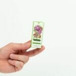 Wonder – Psilocybin Chocolate Bar – Dark Chocolate | Buy Mushrooms Online Canada