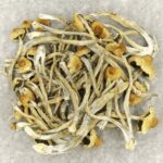 Hautla | Buy Mushrooms Online Canada