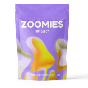 Big Daddy | Buy Mushrooms Online Canada