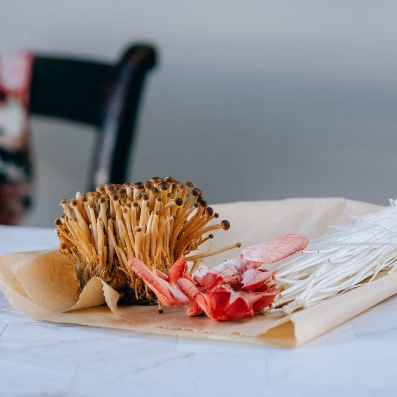 Buy Shrooms Online Canada (1) | Buy Mushrooms Online Canada