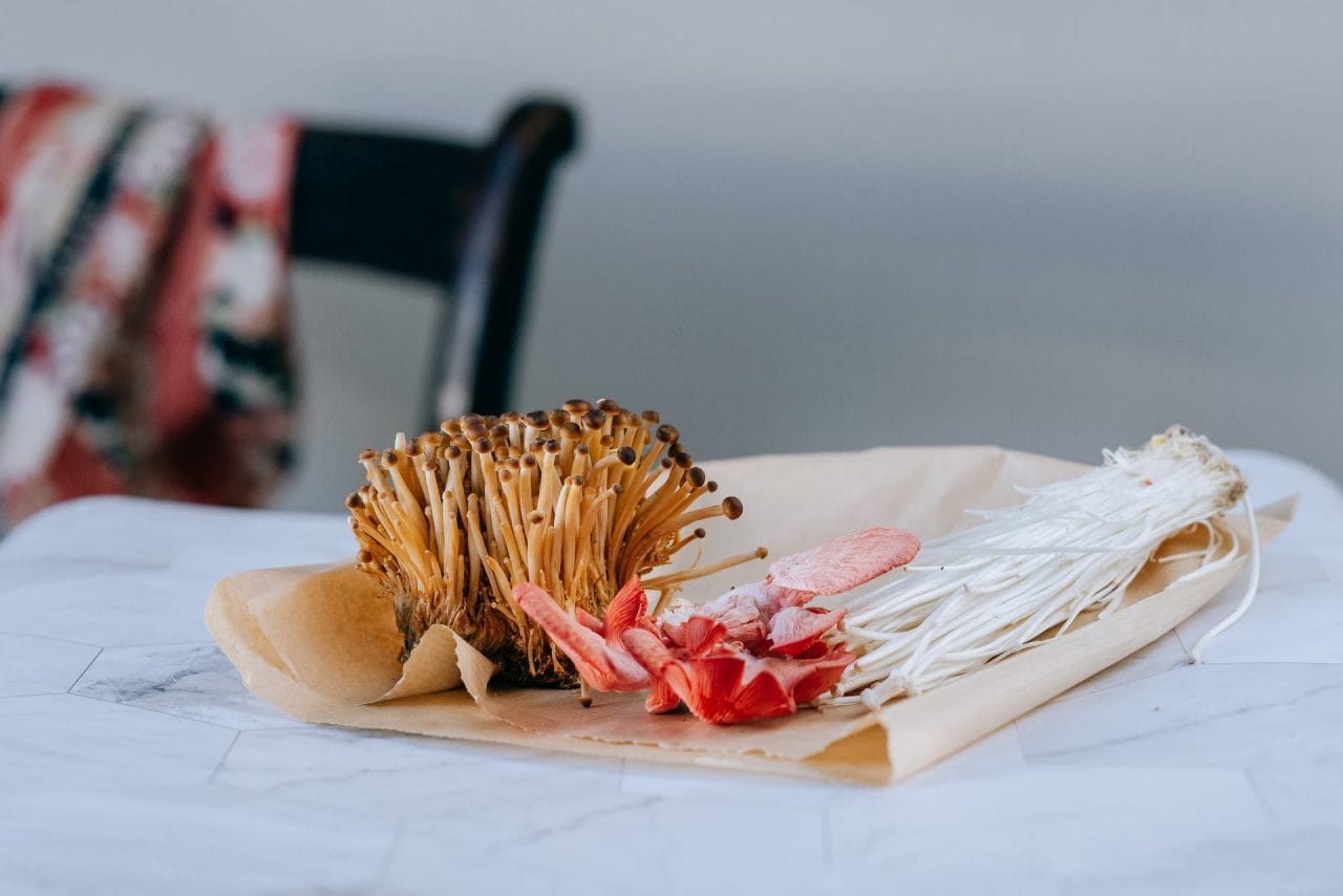 Purchase Mushrooms Online in Canada for Your Festive Holiday Recipes
