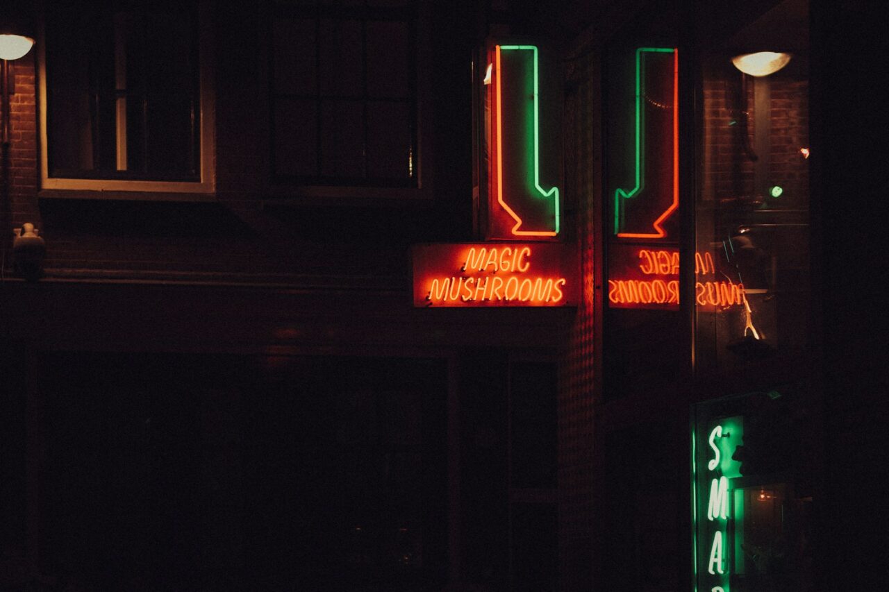 Vancouver’s Mushroom Dispensary – How is Canada Keeping Pace with the US in the Mushroom Surge?