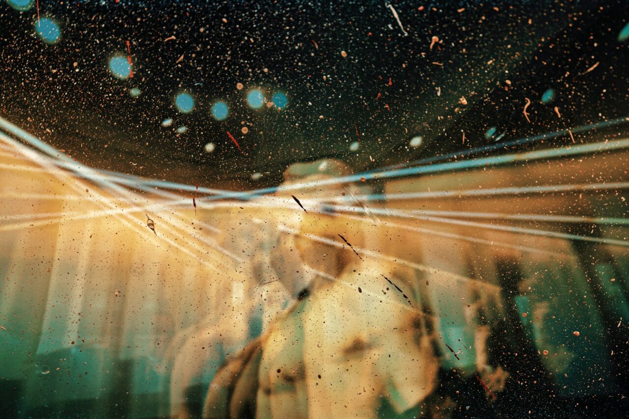 Physician Analyzes His Brain on Psychedelic Mushrooms in Canada: ‘I Descended Into Strangeness’